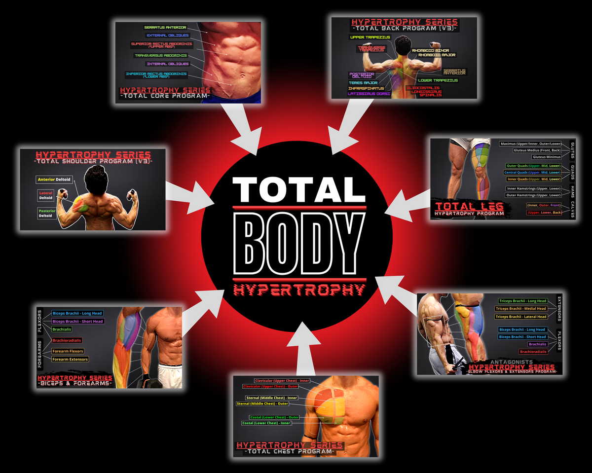ONE PROGRAM